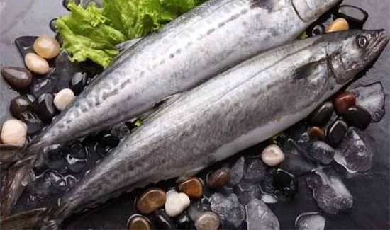 鲅鱼营养价值及禁忌