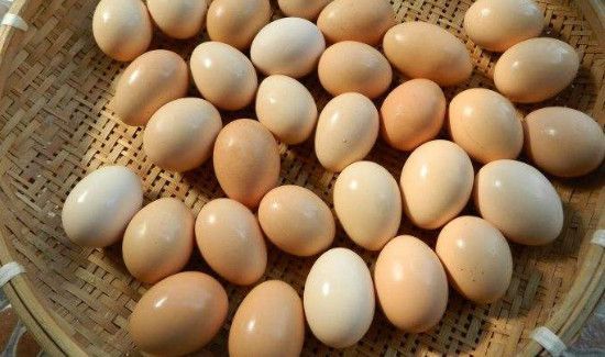 冬瓜鸡蛋可以一起吃吗