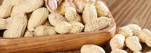 鲜花生煮多久能吃