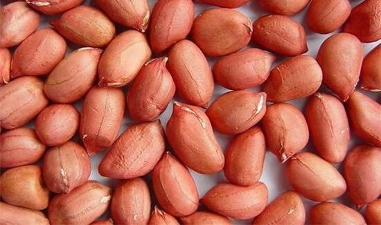 鲜花生煮多久能吃