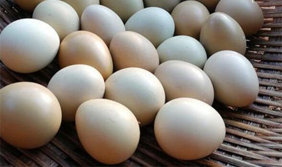 鸡蛋蘑菇能一起吃吗