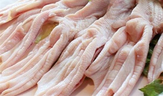 鸭子属于寒性吗