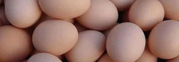 鸡蛋蘑菇能一起吃吗