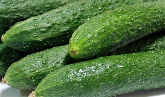 黄瓜吃着发苦有毒吗
