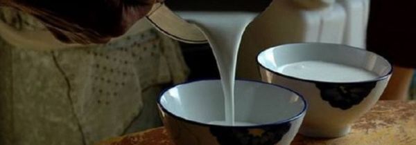 骆驼鲜奶的正确食用方法