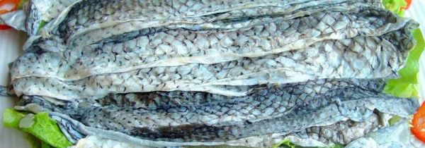 鱼皮是食用胶做的吗