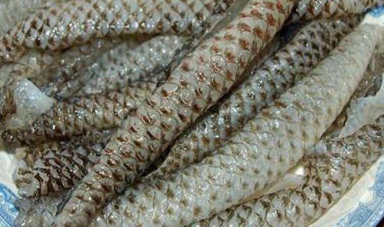 鱼皮是食用胶做的吗