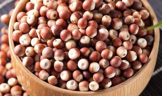 鸡头果能天天吃吗