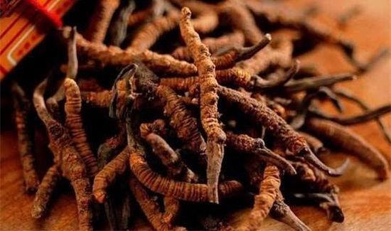 怎么挑选冬虫夏草