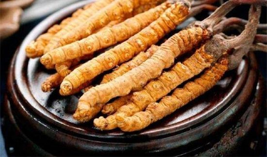 怎么挑选冬虫夏草