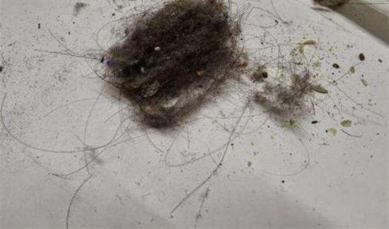 地板上有头发怎么去除