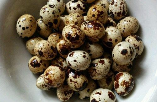 鹌鹑蛋能连壳吃吗