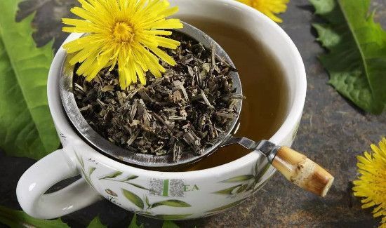 黄谷丁根是蒲公英吗