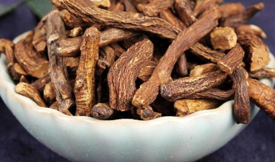 黄谷丁根是蒲公英吗