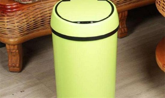 垃圾桶有小飞虫怎么办