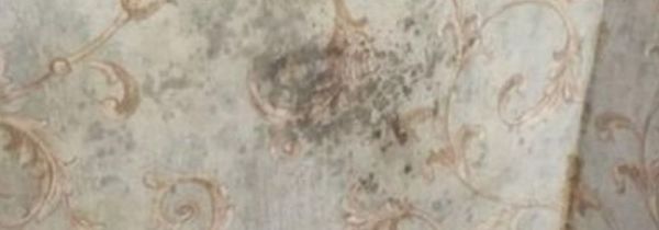 回南天墙面的水是从哪里来的