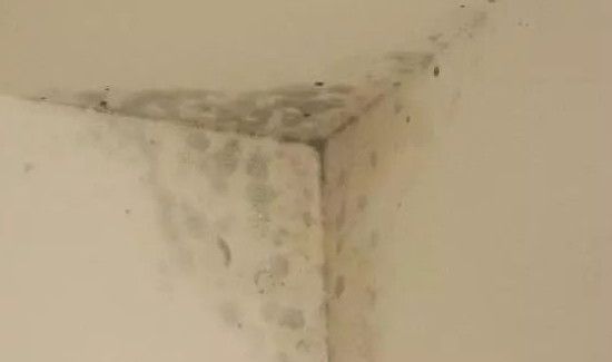 回南天墙面发霉的原因