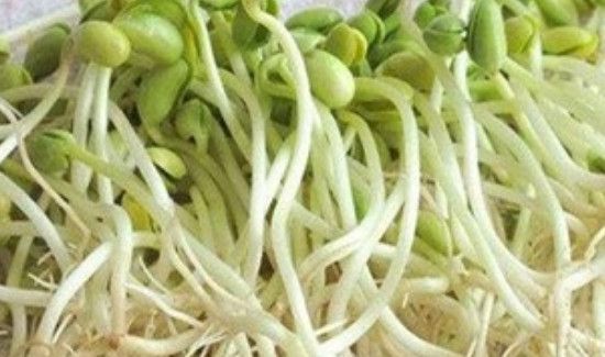 衣服霉点怎么去掉