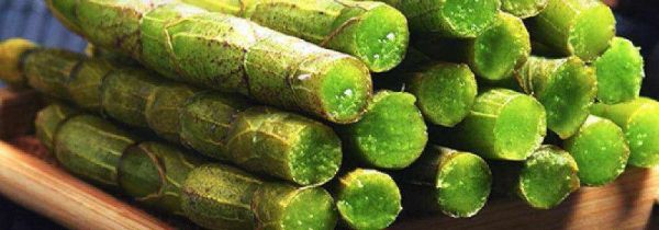 新鲜铁皮石斛怎么吃