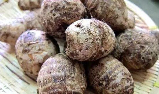 板栗和芋头能一起吃吗