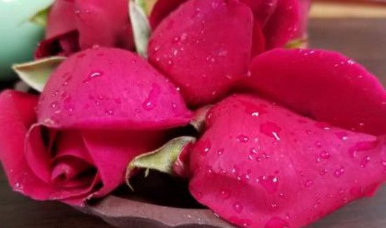 新鲜的花瓣的新鲜是什么意思