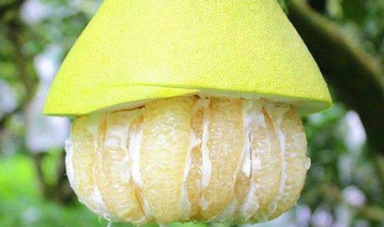 怎么挑柚子好吃