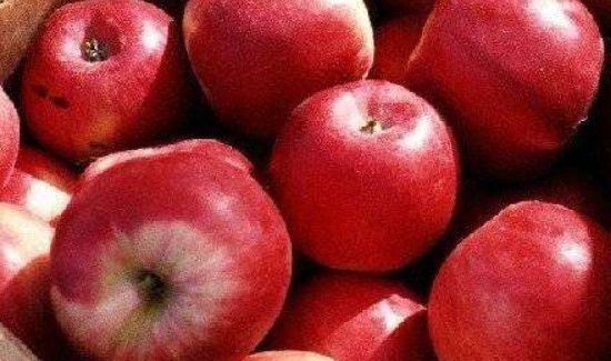 怎么挑苹果