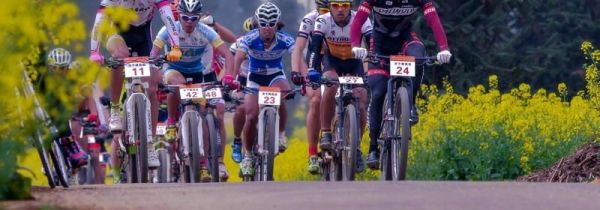 躺着骑自行车姿势