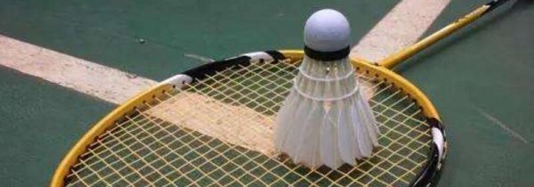 羽毛球握拍姿势