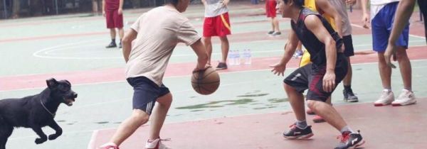 打篮球运球正确姿势