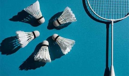 打羽毛球消耗的热量