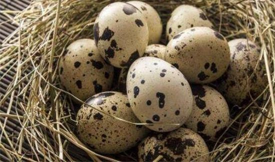 吃鹌鹑蛋能喝牛奶吗