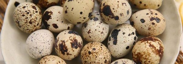 吃鹌鹑蛋能喝牛奶吗