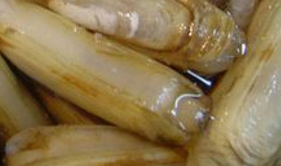 海蛏子怎么吐沙