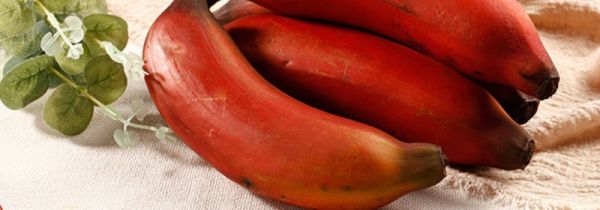 红皮香蕉跟一般香蕉的区别