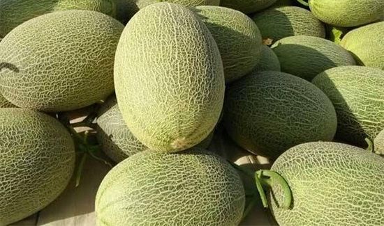 哈密瓜蒸着吃的好处