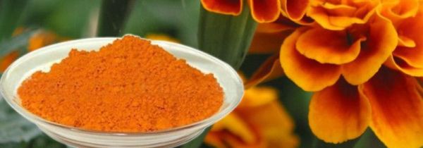 叶黄素禁忌人群