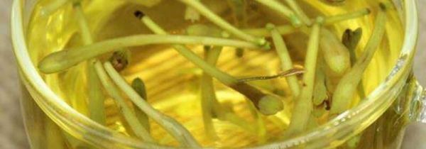 喝金银花水禁忌