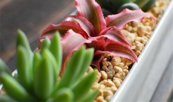 土壤疏松小窍门