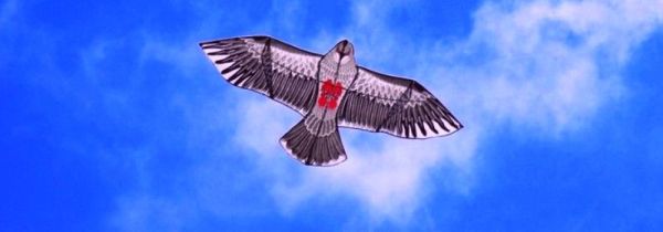 风筝为什么是对称的