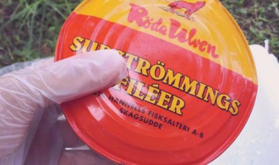 鲱鱼罐头有什么营养