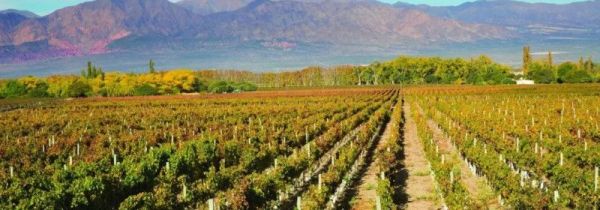 高海拔地区需要注意什么