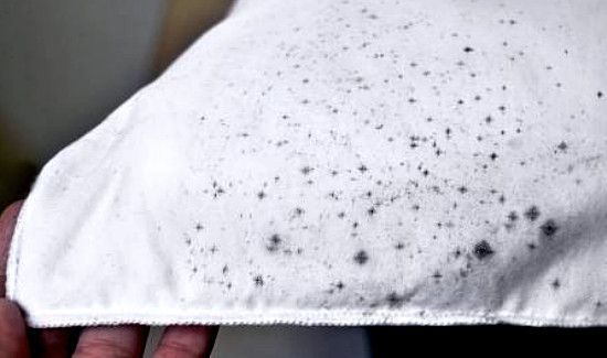 发霉的东西高温煮可以杀毒吗