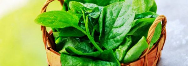 吃木耳菜的禁忌