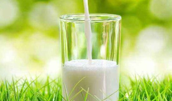 吃木耳菜的禁忌