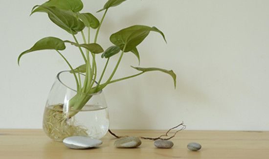 开暖气太干了怎么办