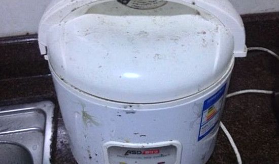 电饭锅发霉了怎么消毒
