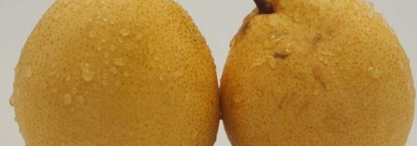 梨和南瓜可以一起吃吗