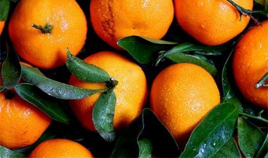 橘子和枣子能一起吃吗