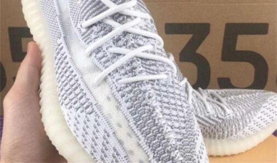 椰子满天星和天使的区别